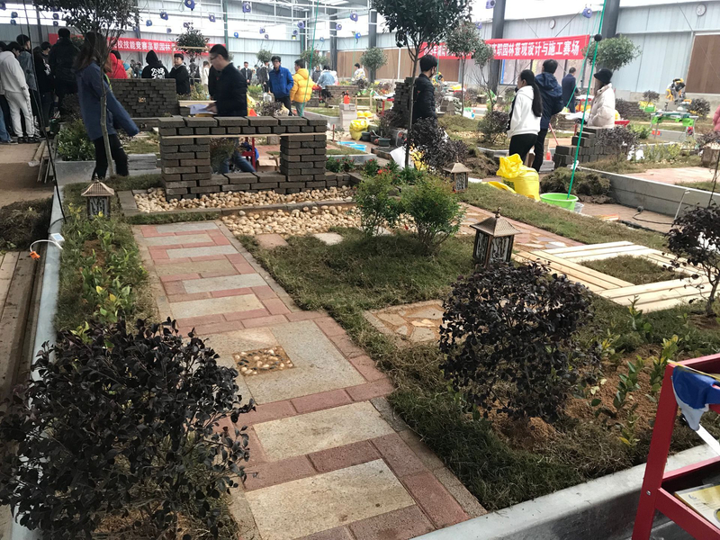 1546782660638020481.jpg QQ图片20190102103949.jpg