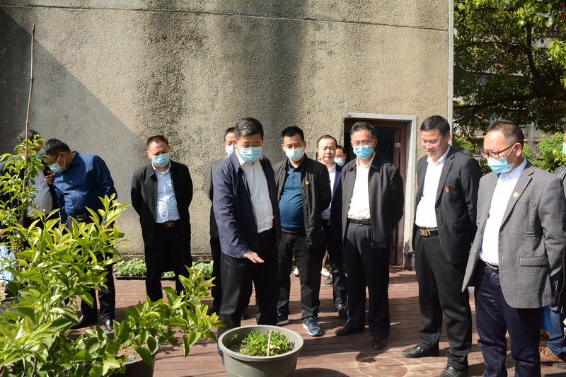 1650939939538013371.jpg DSC_1457.jpg